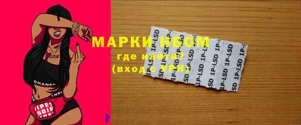 стафф Иннополис