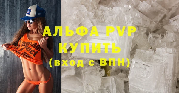 стафф Иннополис