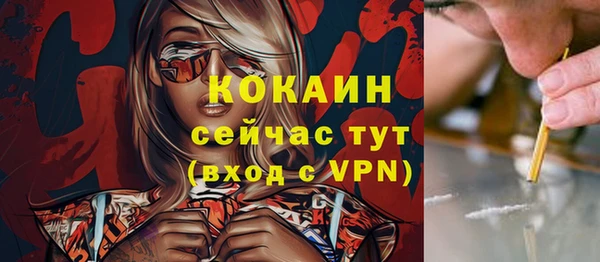 стафф Иннополис
