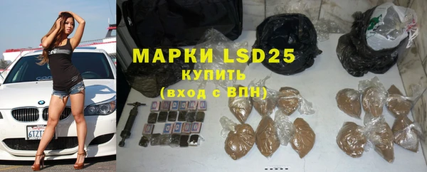PSILOCYBIN Инта